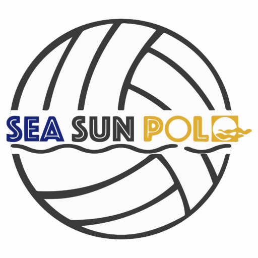 Logo SSP
